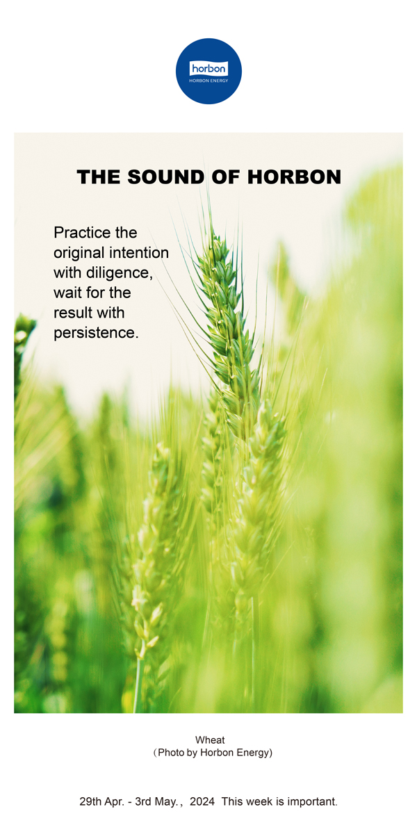 【和之声】用勤劳践行初心，，用坚持期待效果。（总第132期）2024.4.29-5英文改小季度推送用.jpg