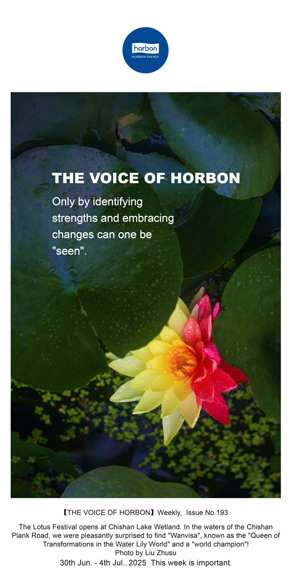 【和之声】找准优势、、、拥抱转变，，，才华“被望见”。。(总第193期）--2025.6英文导出季度推送用.jpg